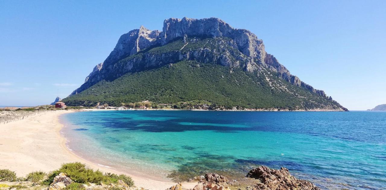 Iss Travel, Le Carrube Two Bedrooms Apartments With Air Conditioning San Teodoro  Bagian luar foto
